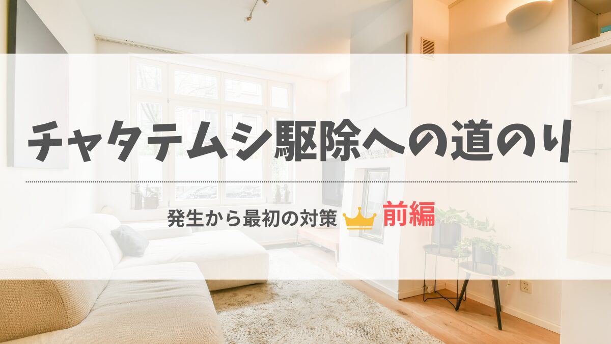 チャタテムシ駆除前編アイキャッチ