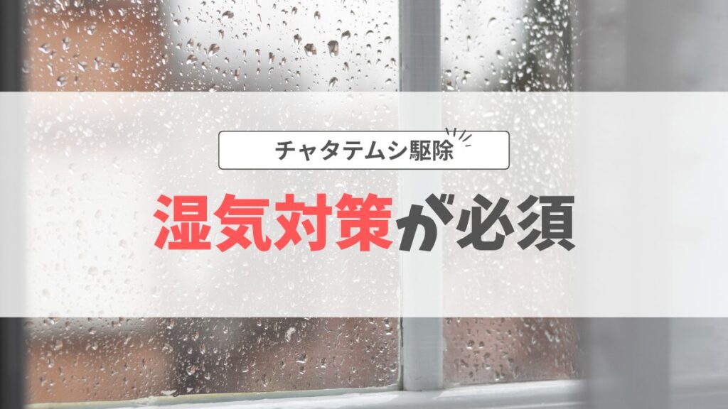 チャタテムシ駆除前編湿気対策