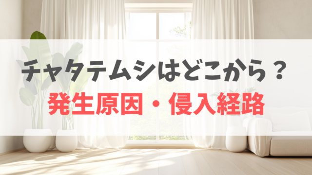 チャタテムシどこから