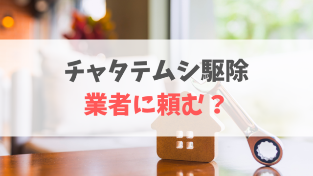 チャタテムシ駆除